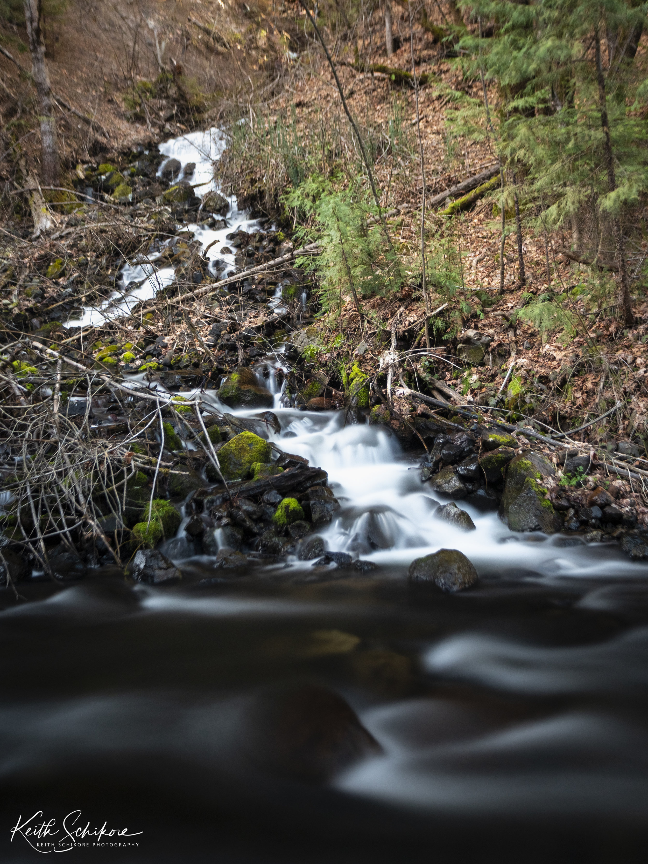 _64A0251-HDR.jpg
