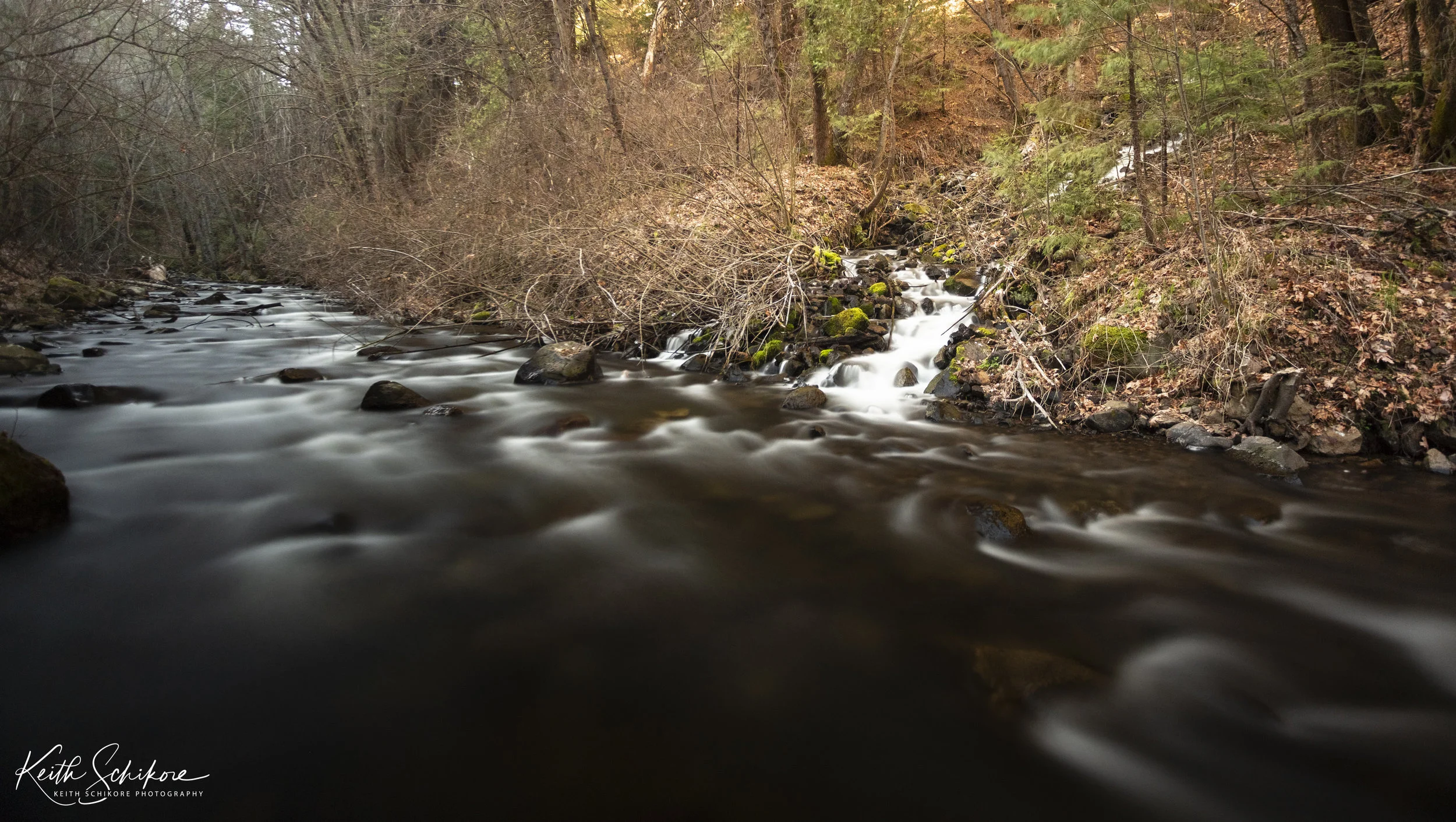 _64A0248-HDR.jpg