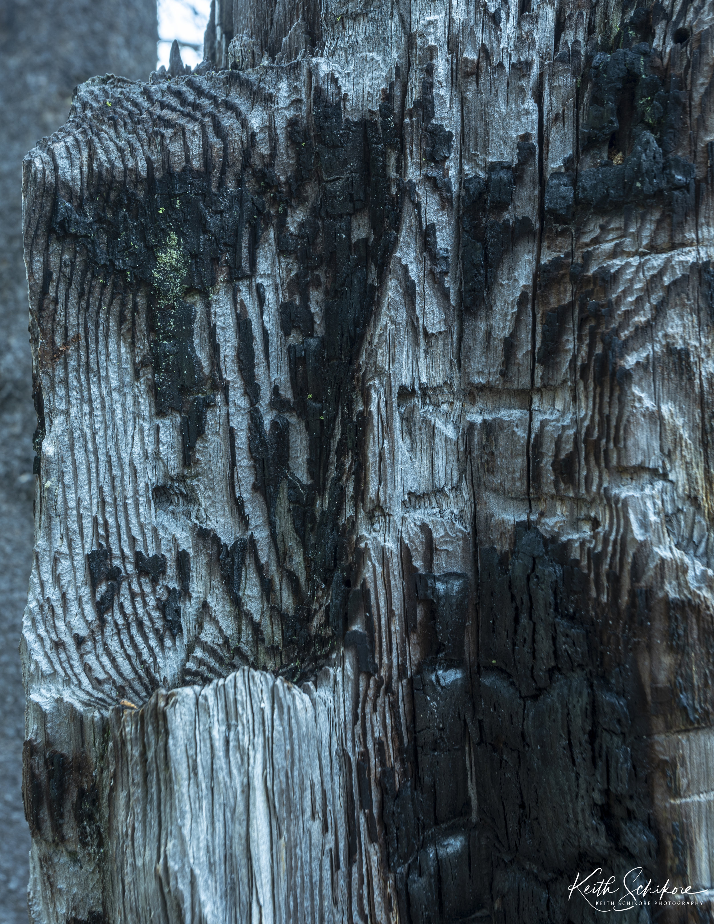 _64A1018-HDR.jpg