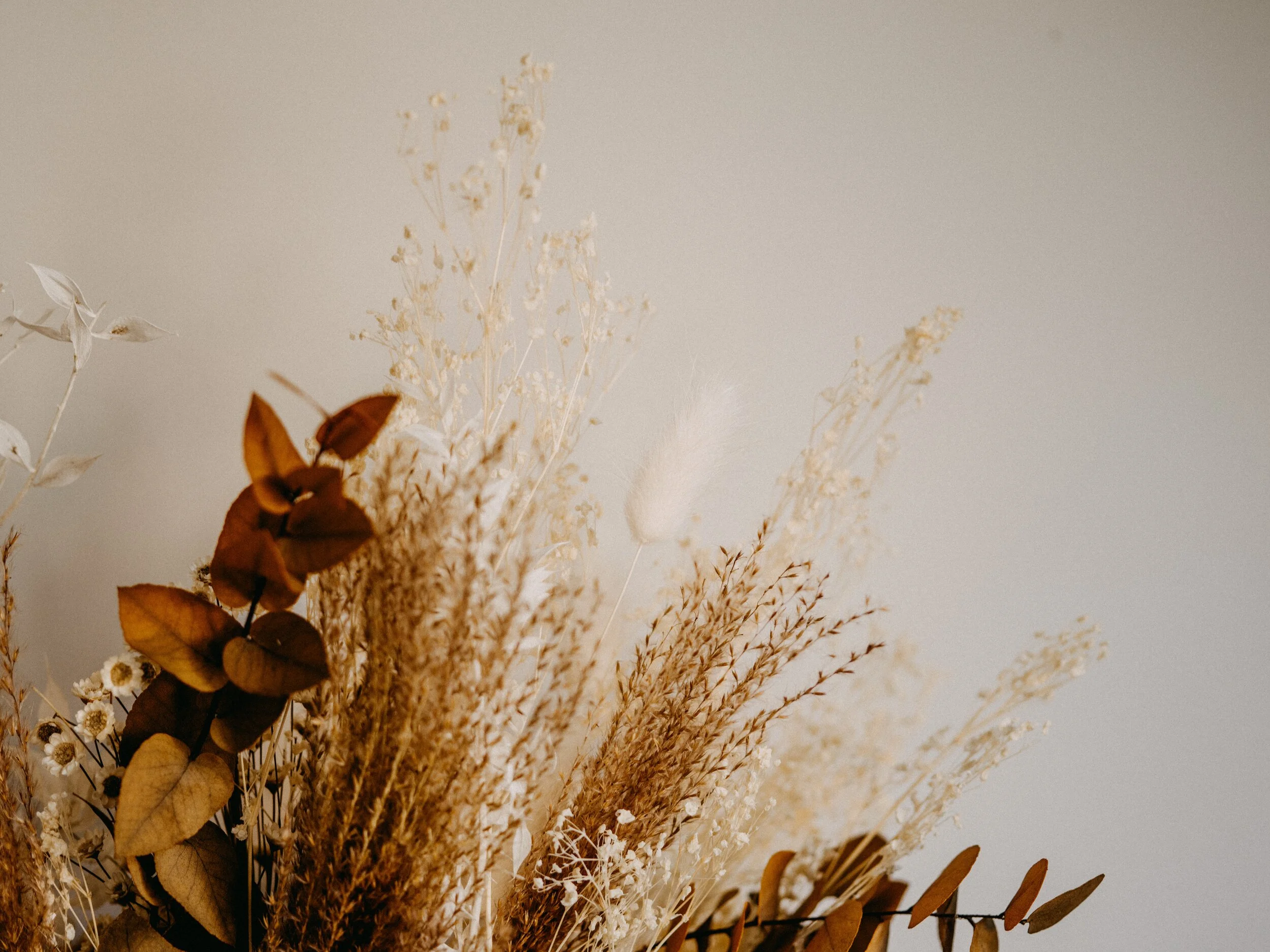annie-spratt-kAojlEtvMIM-unsplash.jpg