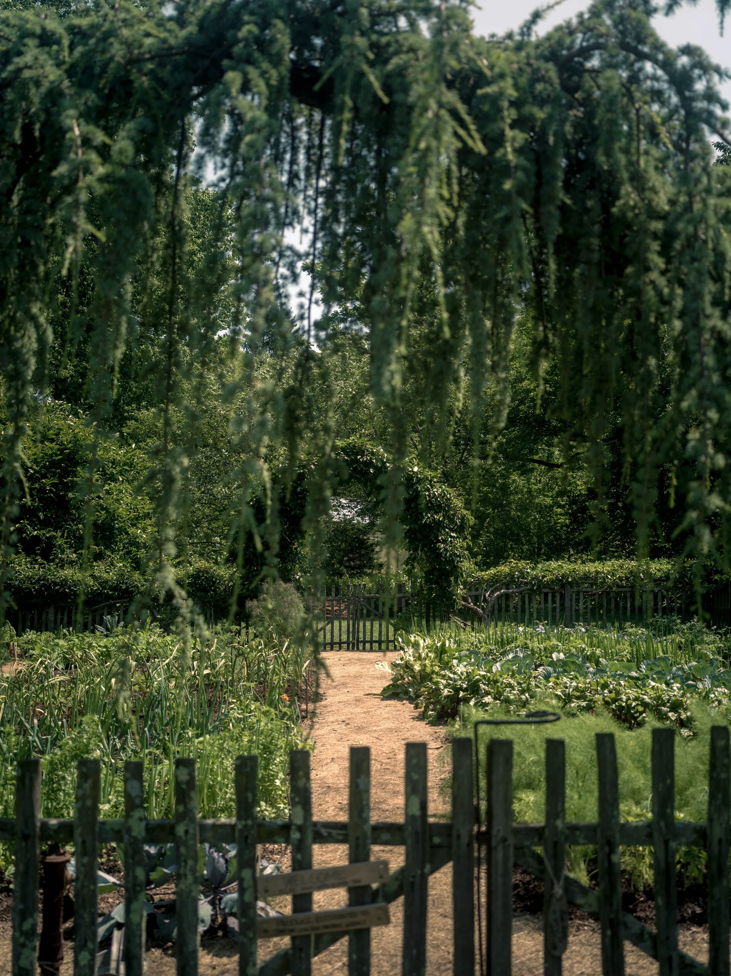 B0007278.jpg