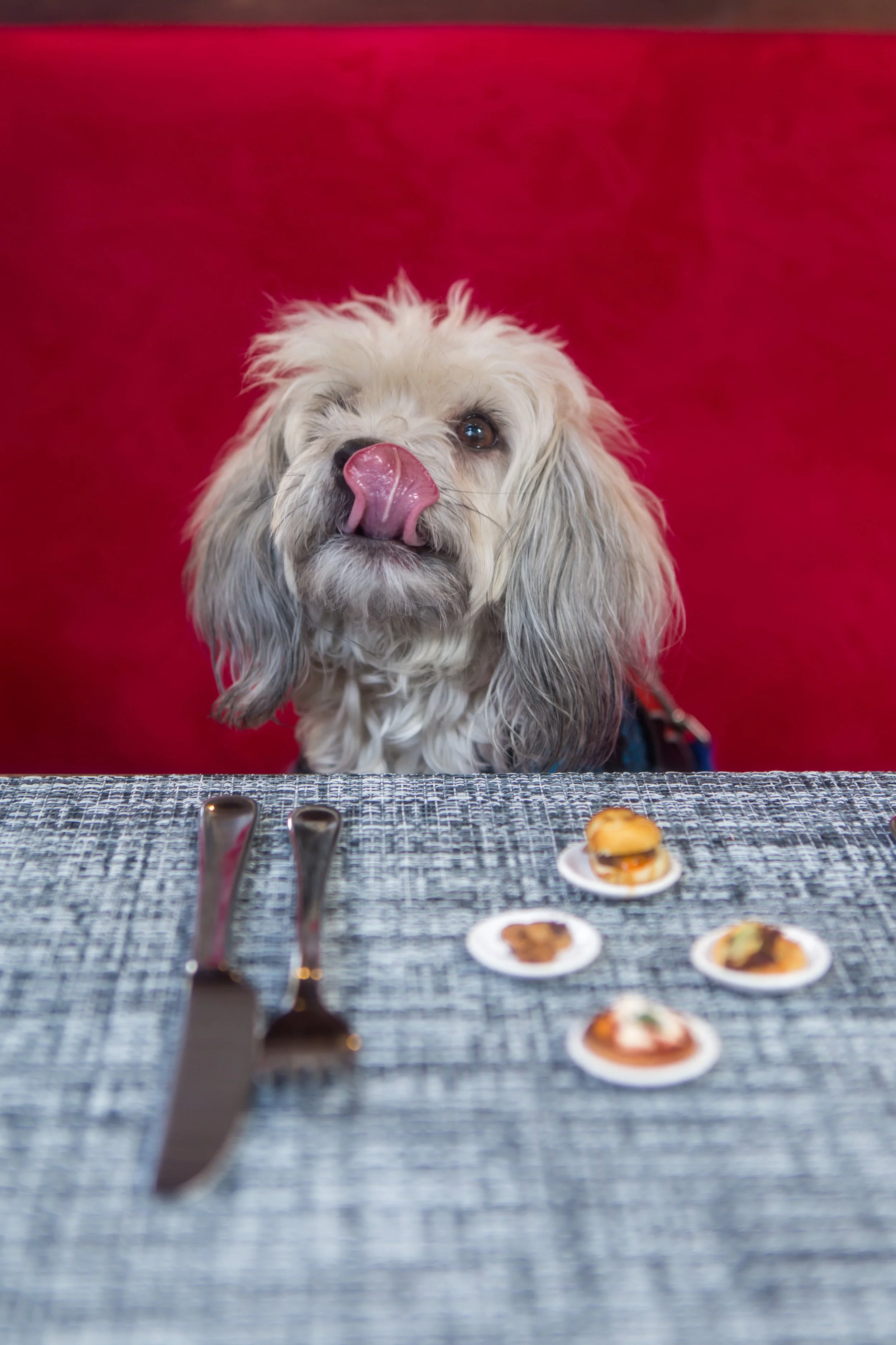 ZAGAT Tiny Cafe- Selects-76.jpg