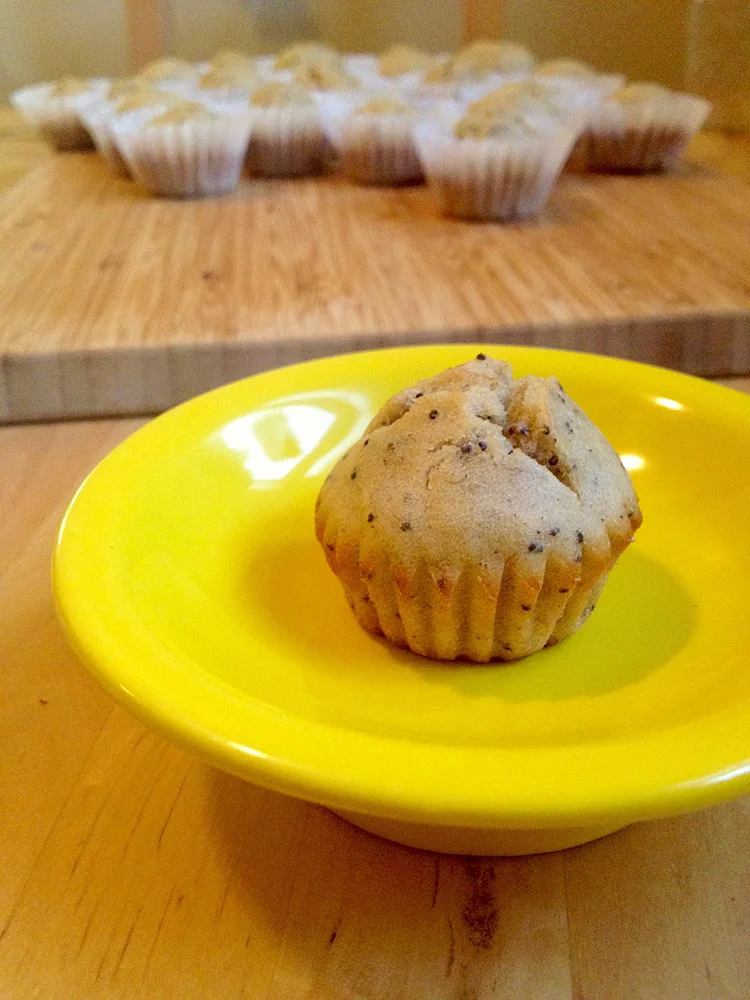 Don't you love mini cupcakes? They are tiny cute bites of goodness!