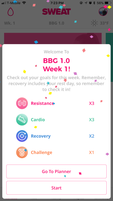 Pros And Cons Of Kayla Itsines Bbg Fitness Program