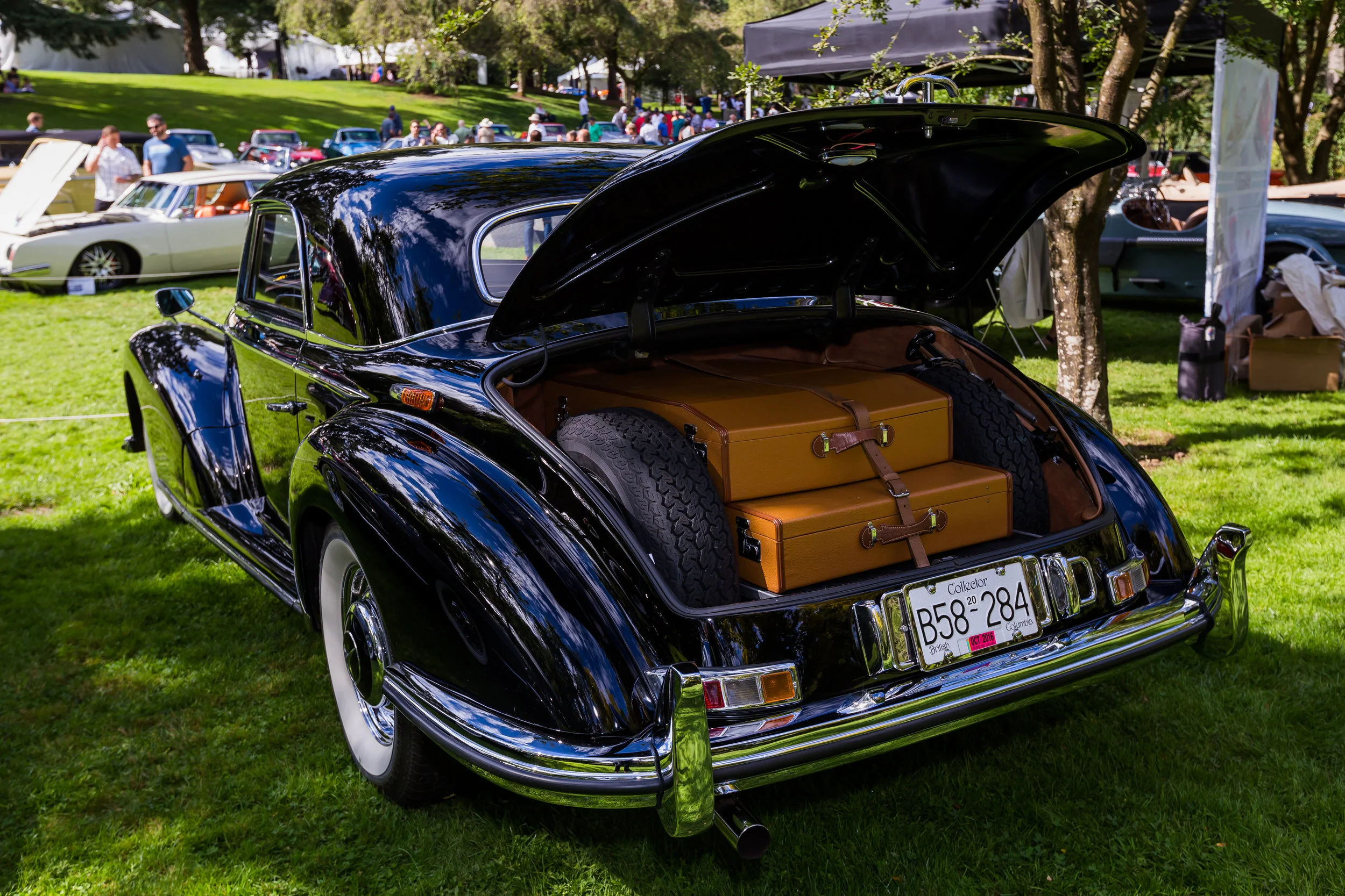 _MG_3544.jpg