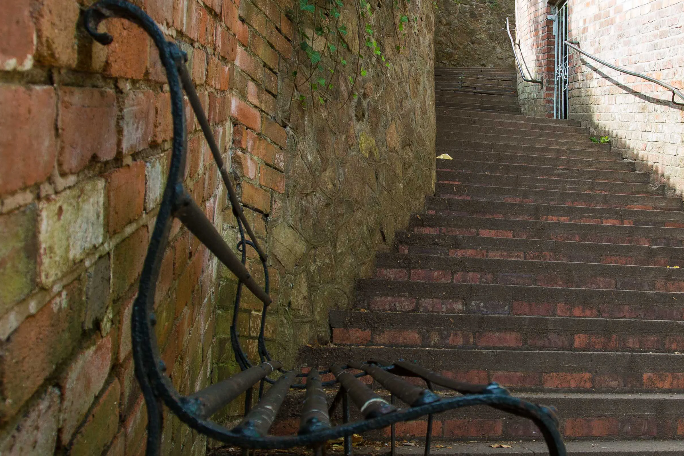 99 steps.jpg