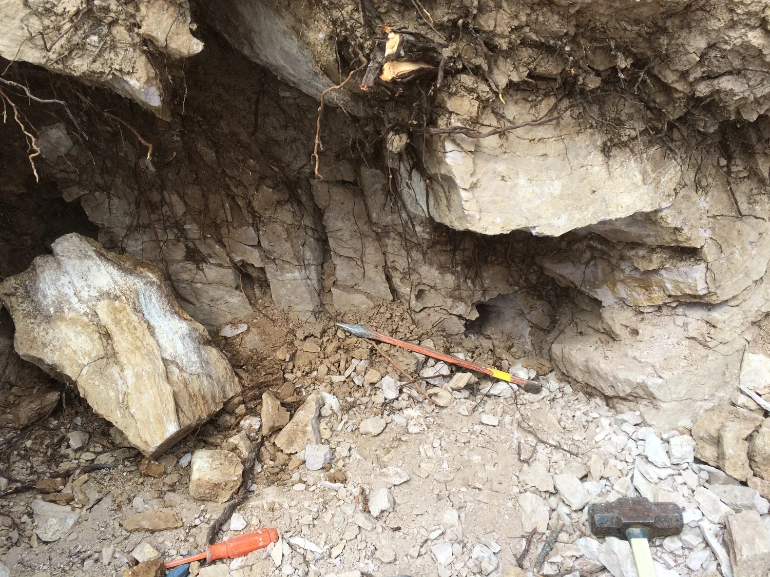 Nevada bright dark sparkles of gem. — Ian Merkel Jewelry