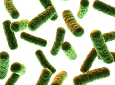 Screen Shot 2015-11-19 at 12.46.56 PM.png