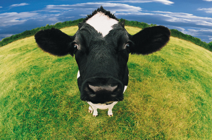 Screen Shot 2015-12-16 at 11.28.51 AM.png