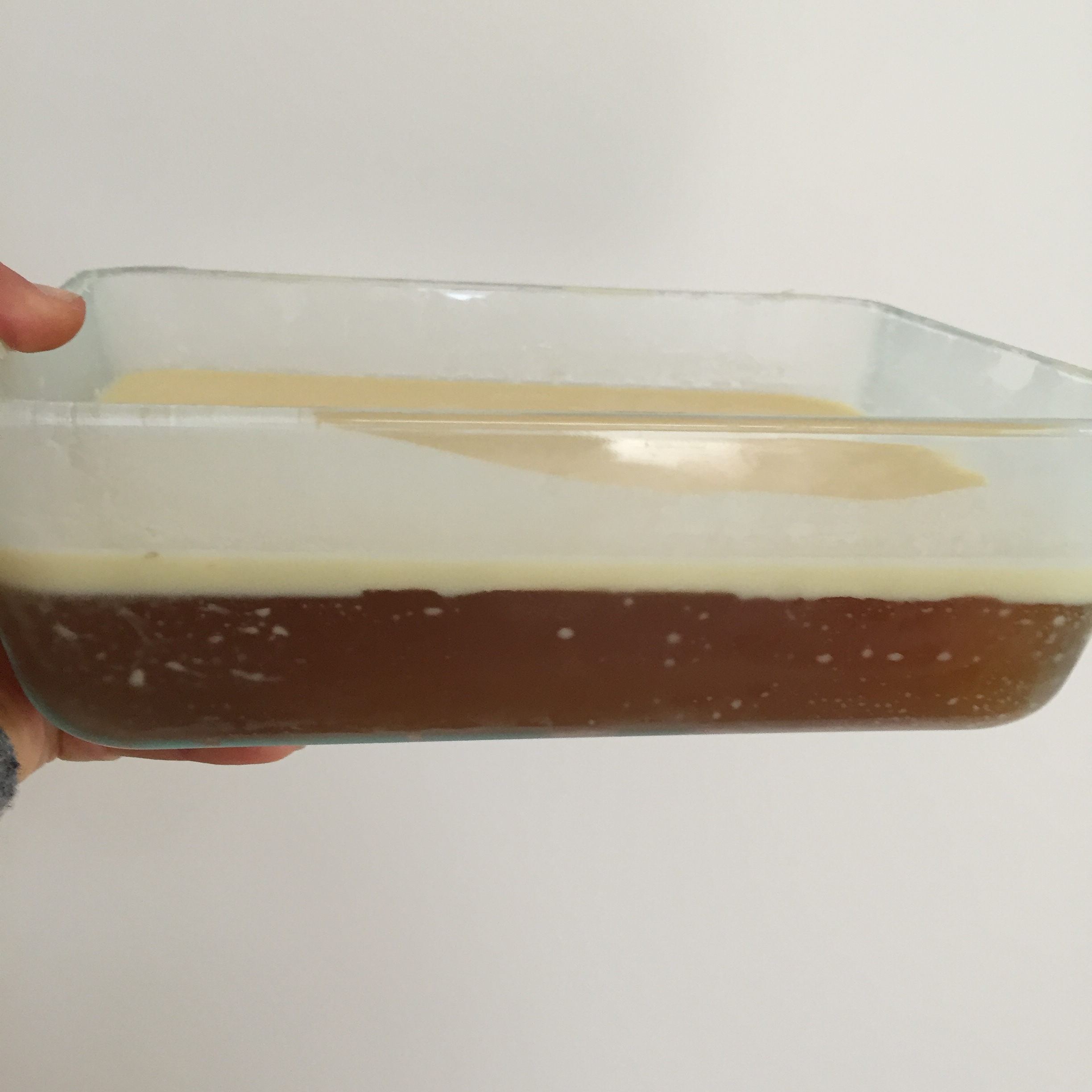 Solidified fat on top of the broth after being refrigerated overnight