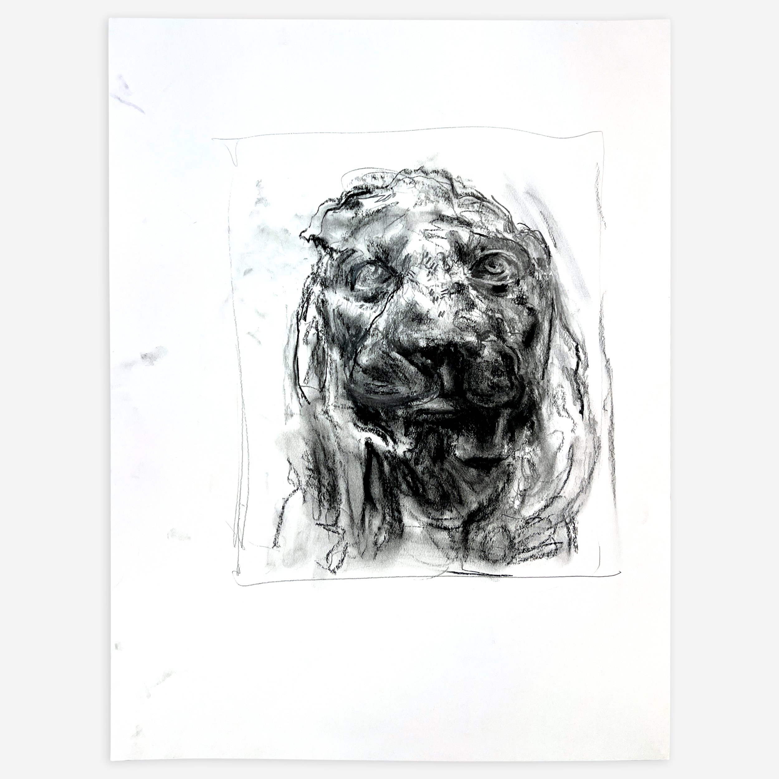  Bronze Statuette of Lion, 2nd century CE, charcoal on paper, 18" x 24", 2022   $160.00 includes US shipping     BUY NOW     