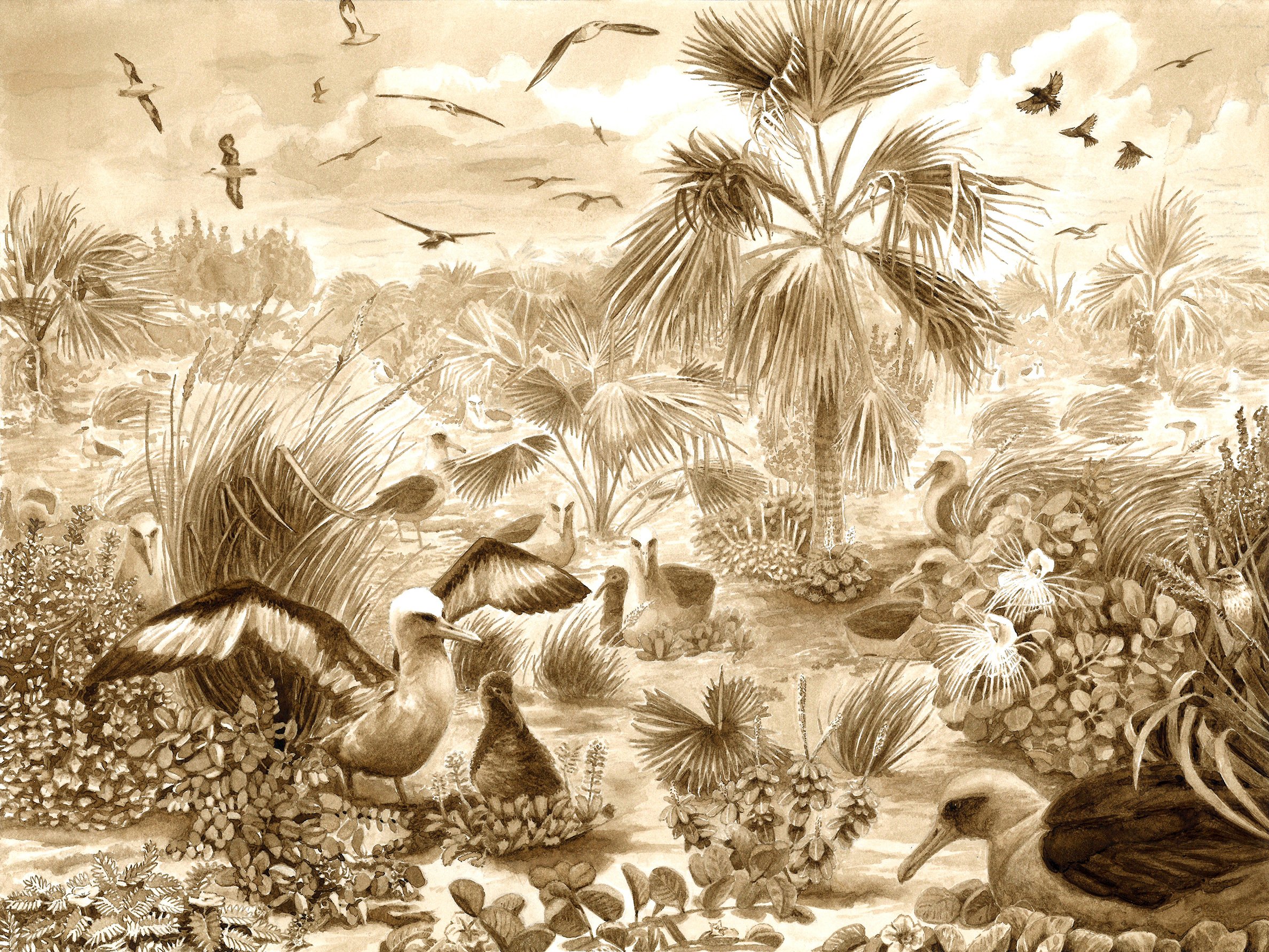 Depiction of extinct 19th century ecosystem on Laysan Island