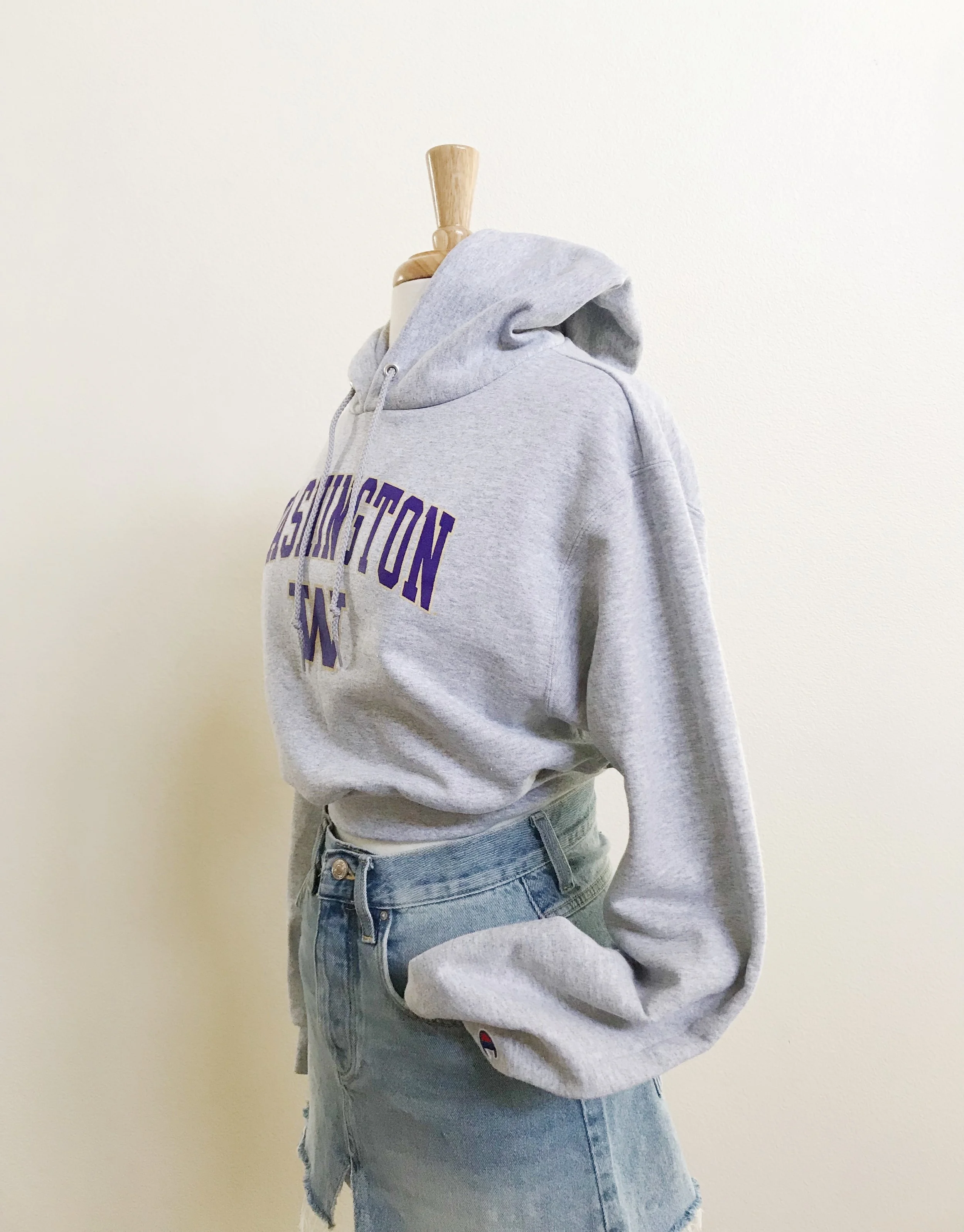 uw champion hoodie