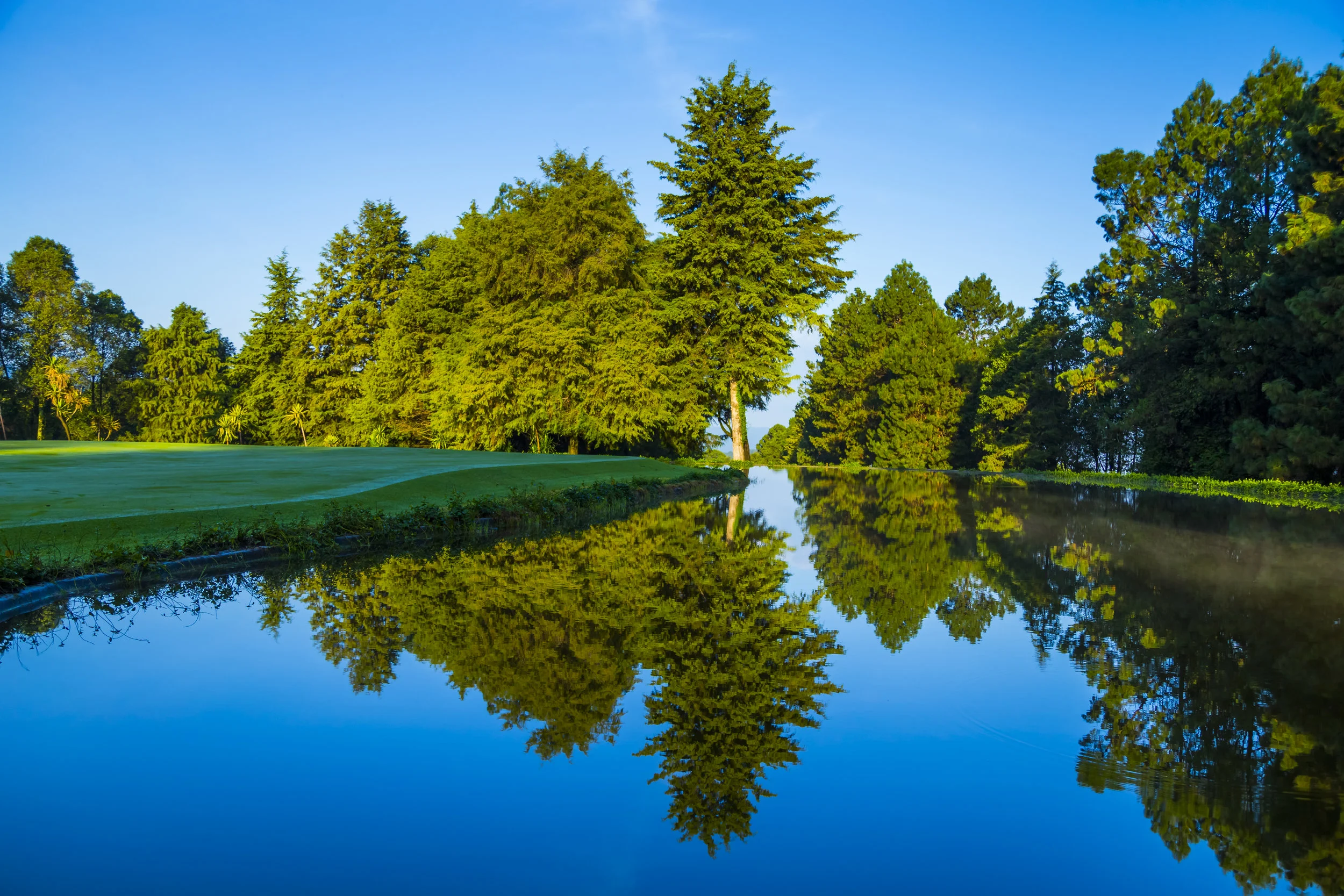 Rancho Los Robles - Vista panorámica