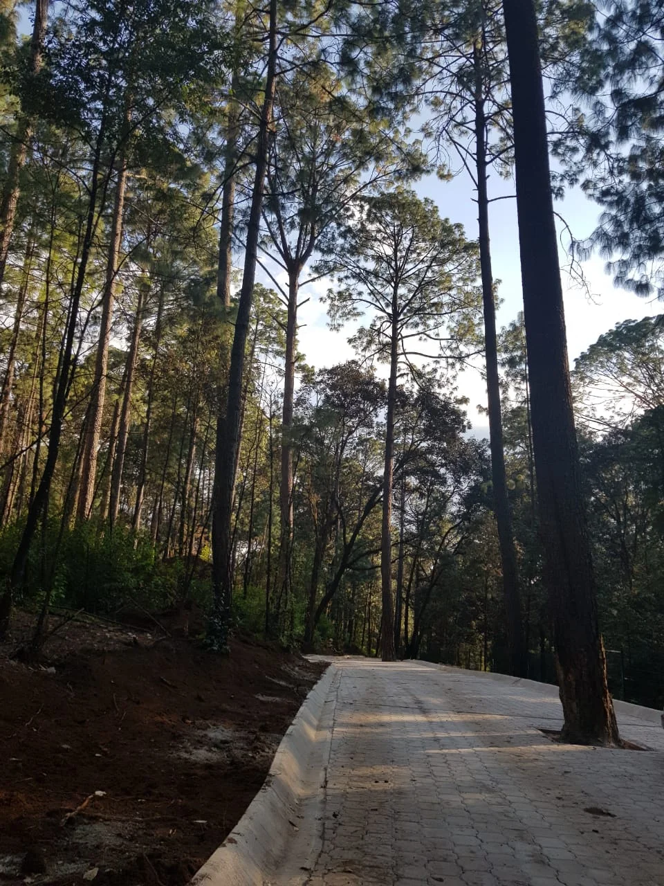 WhatsApp Image 2018-11-22 at 16.50.46 (1).jpeg