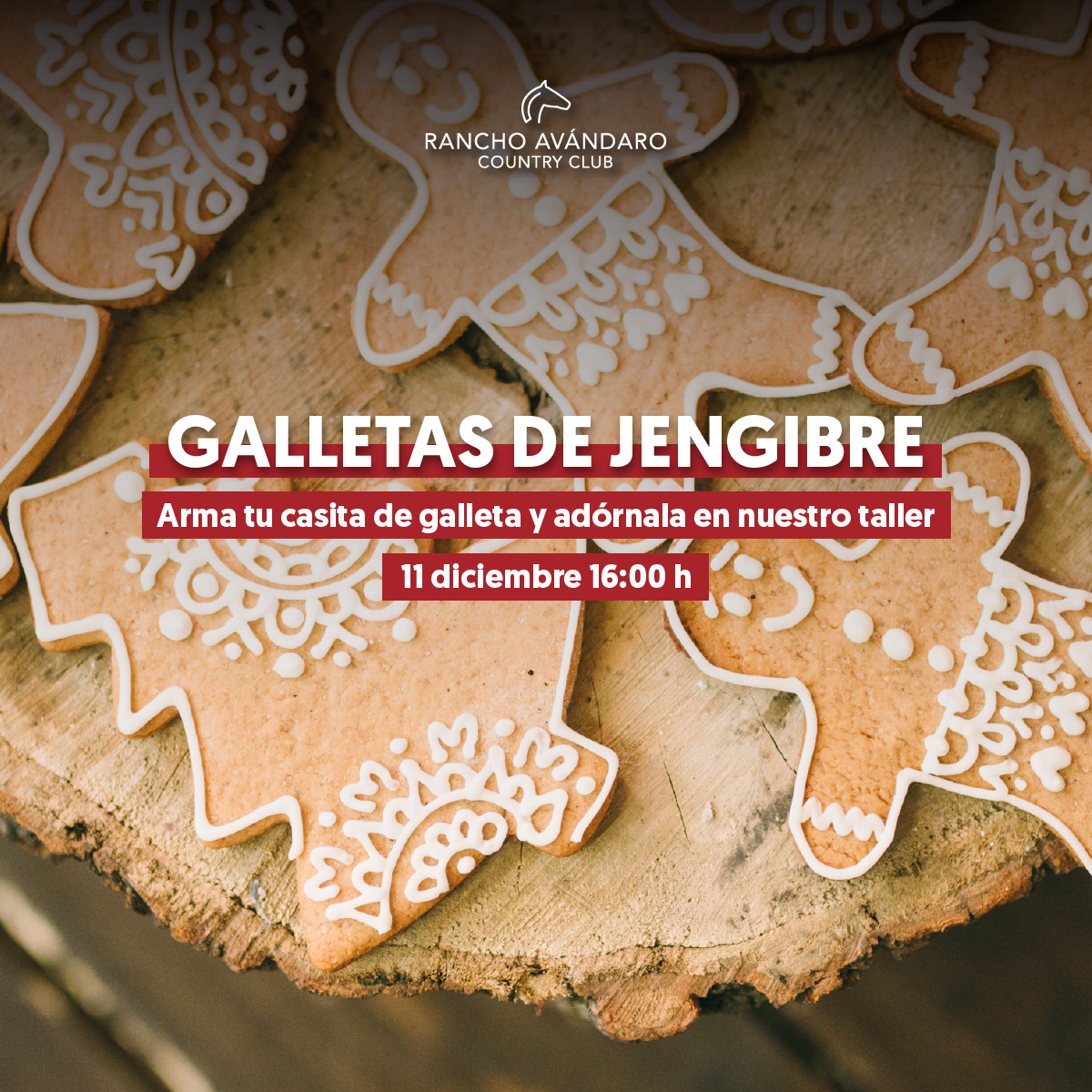GALLETAS DE JENGIBRE 