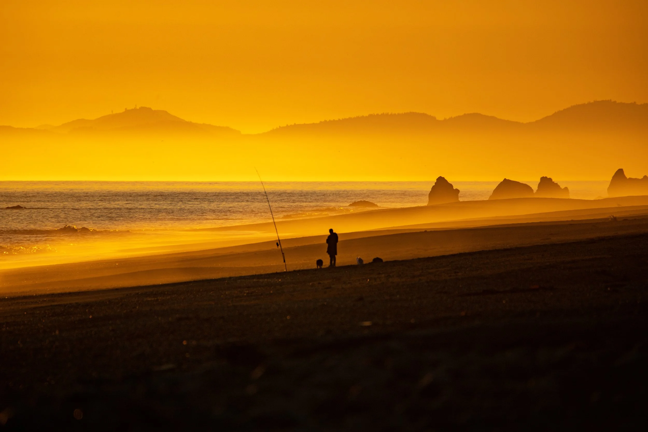 Wainuiomata Beach / 1 hour / 1.9 kilometres / 19 metres — Hi. I'm Gareth.