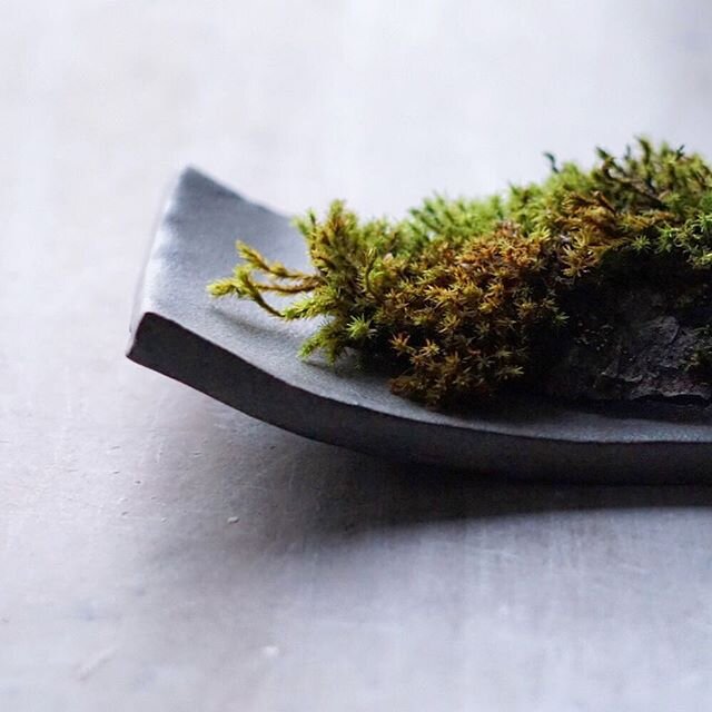 Handmade ceramic Dai with moss ikebana.
__________

#ceramics #craft #handmade #handcraft #wabisabi #minimal #artisan #tableware #design #minimal #designer #art #artisan #craftsman #homedecor