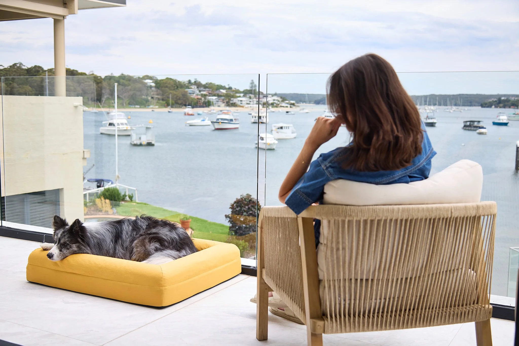Cooling Bed on Terrace-Dazy Dog Cronulla4941.jpg