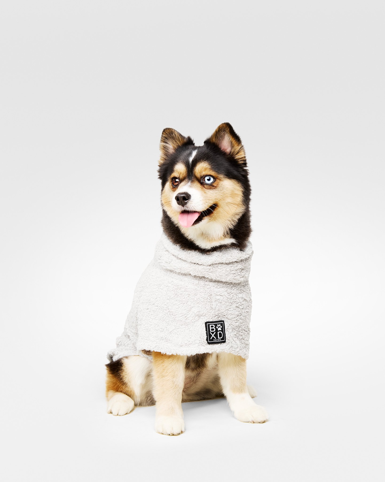 Light Grey-BOXD For Pets0316.jpg