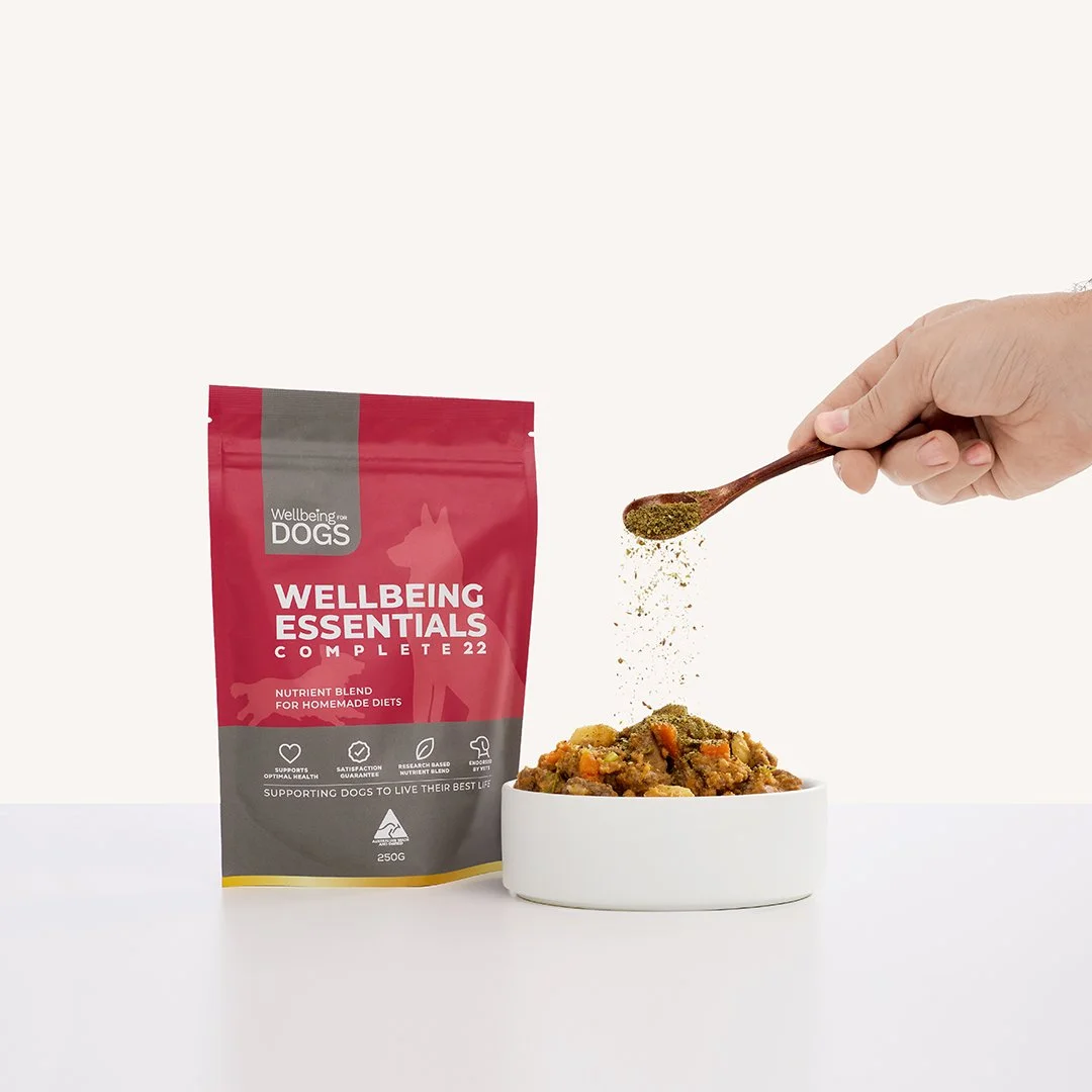 Sprinkling-Wellbeing For Dogs0015.jpg