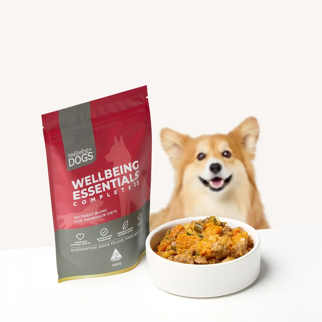 Wellbeing For Dogs8025.jpg