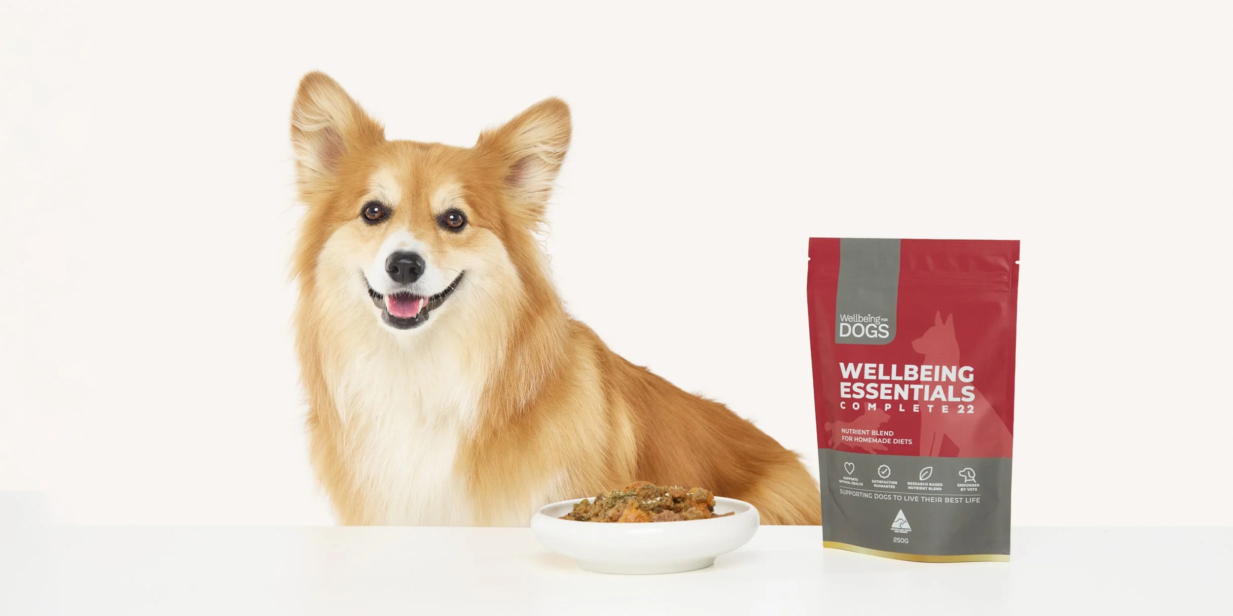 Wellbeing For Dogs8016.jpg