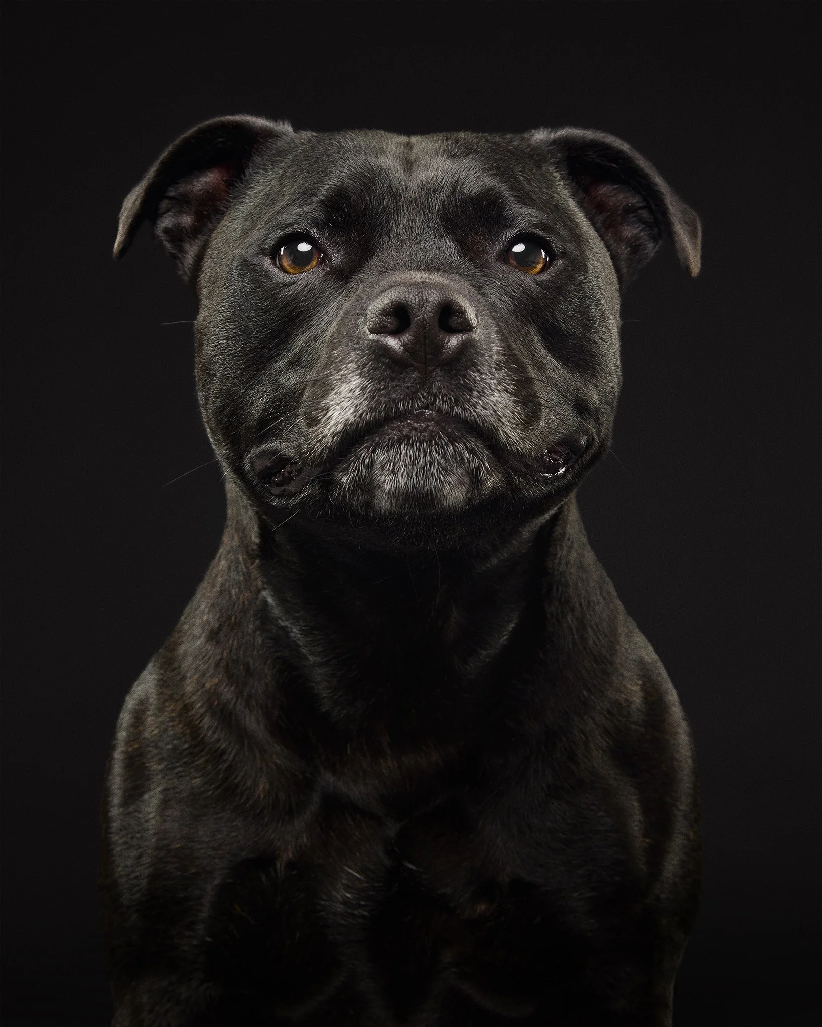 Weaver and Ripley0044.jpg