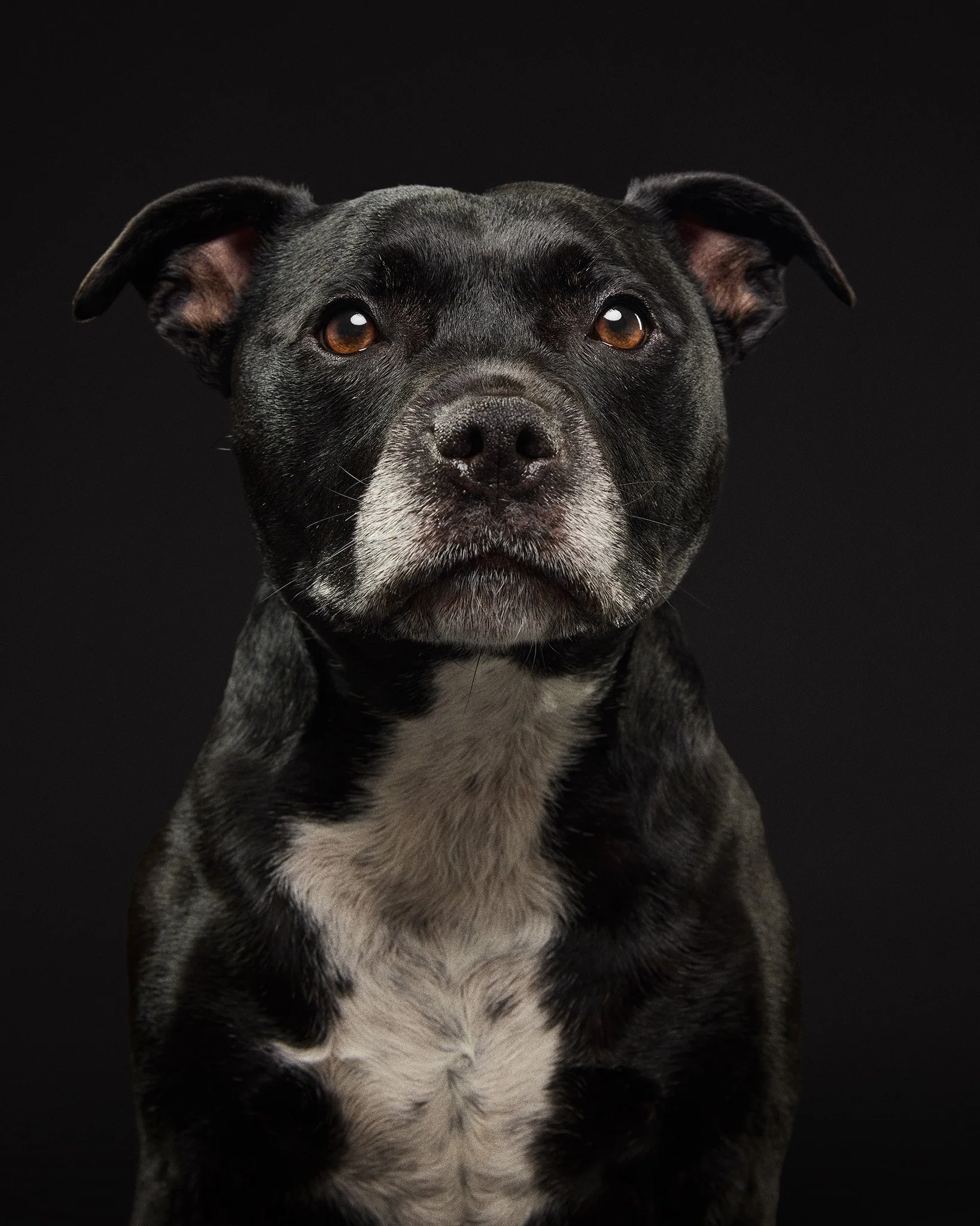 Weaver and Ripley0096.jpg