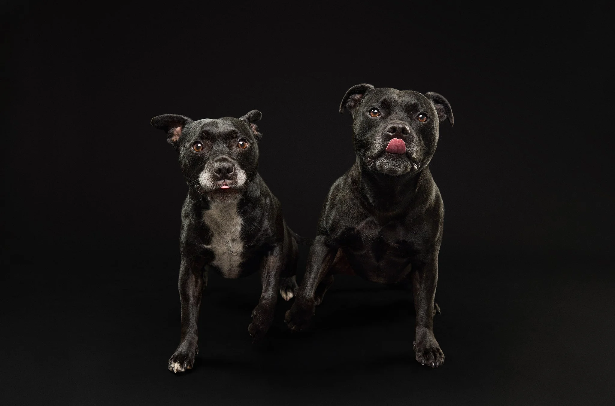 Weaver and Ripley0122.jpg