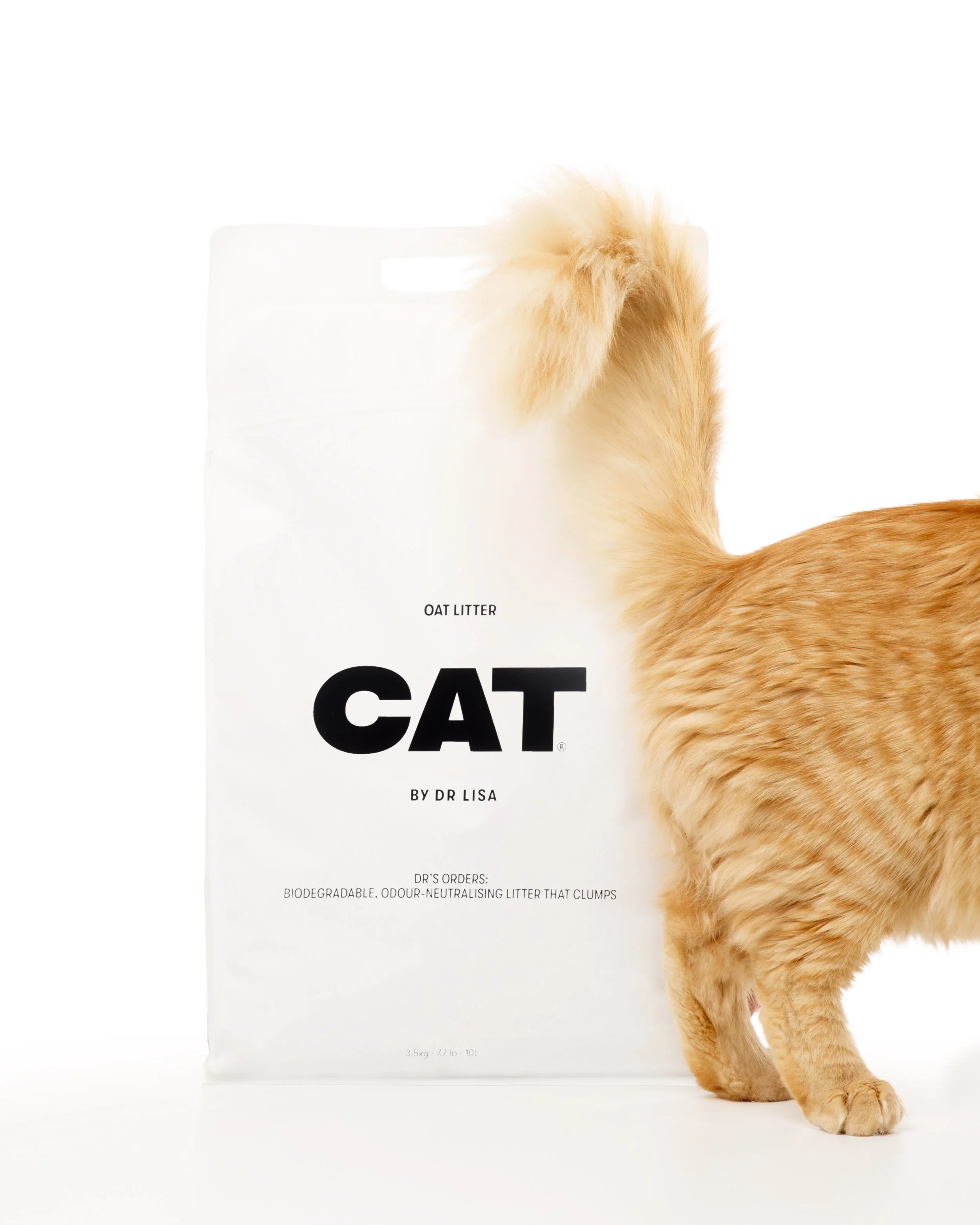 CAT by Dr. Lisa