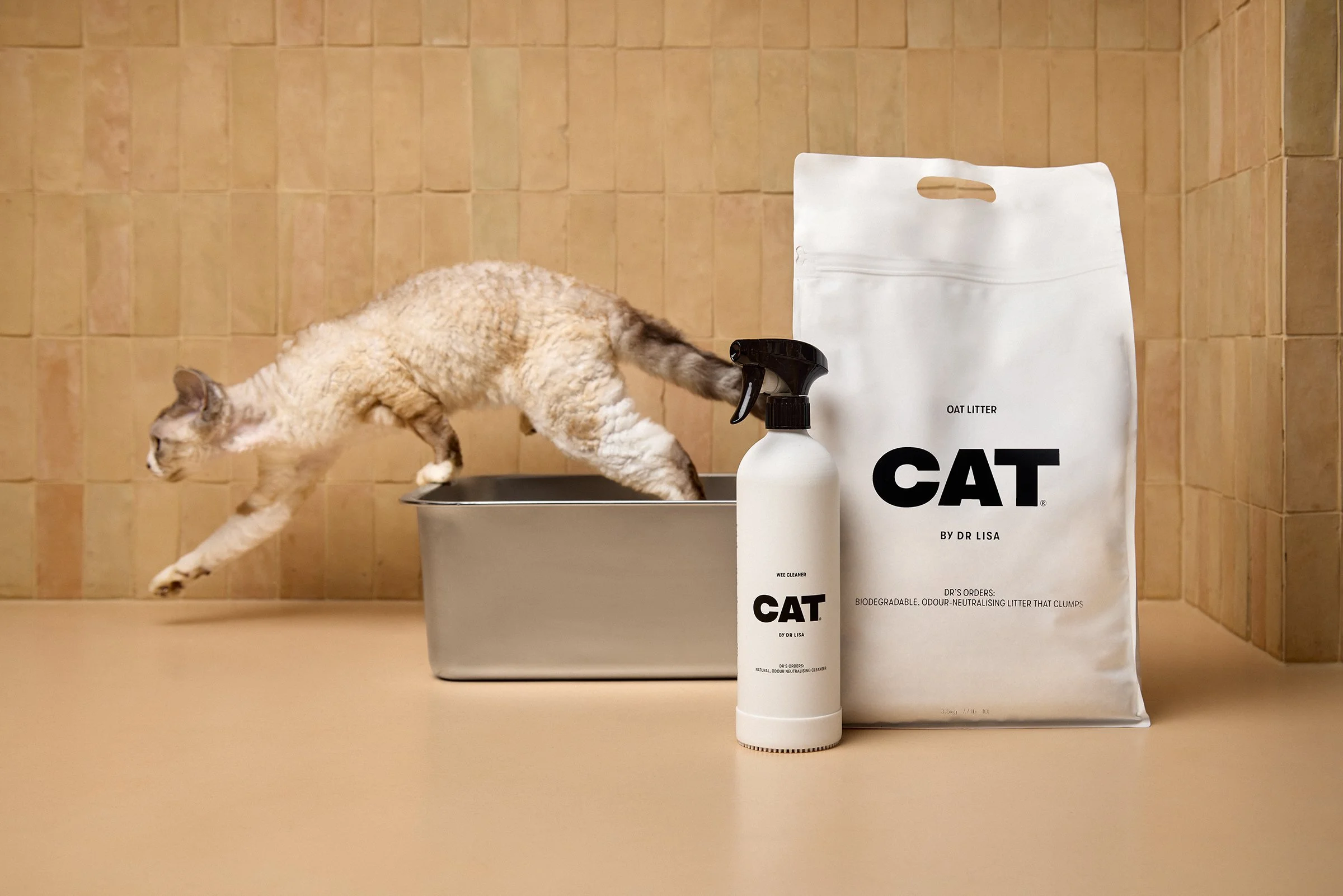 CAT by Dr. Lisa