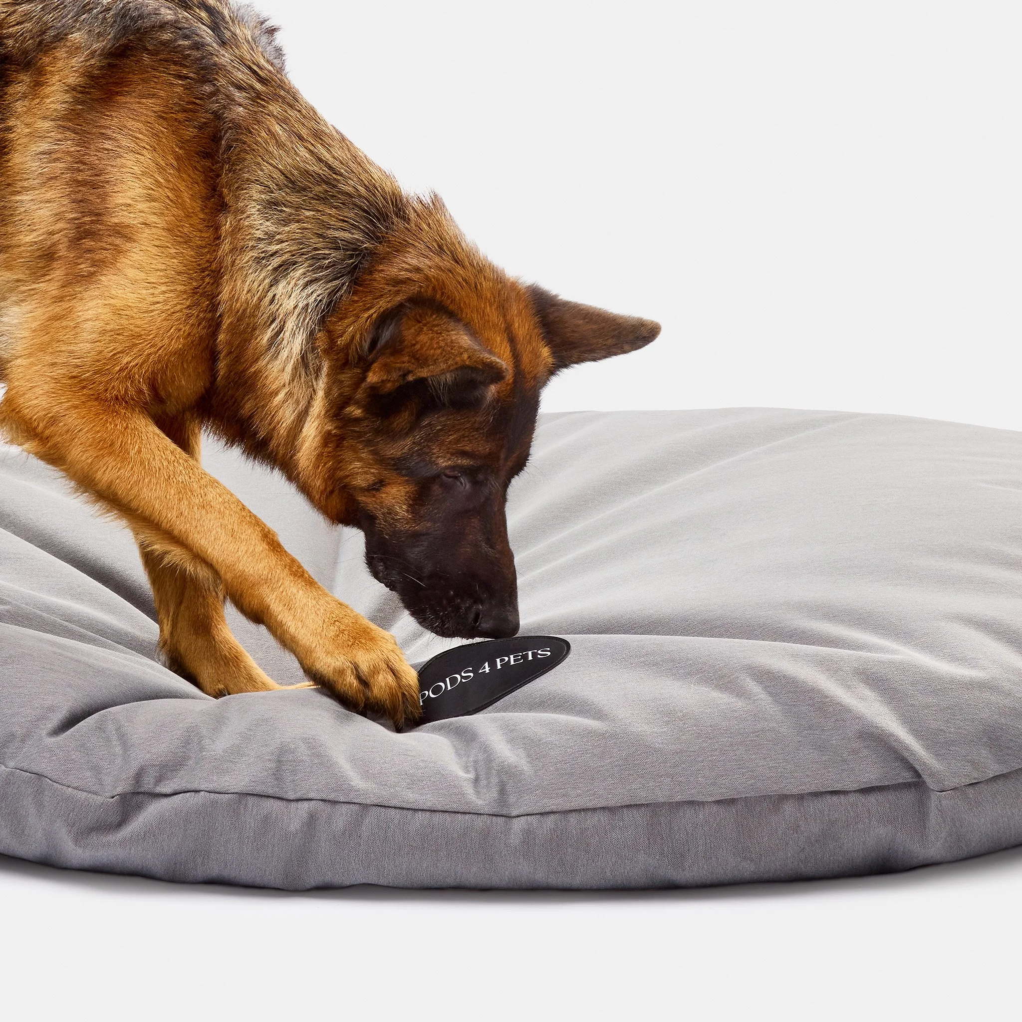 PODS4PETS4096.jpg