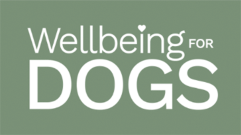 Wellbeing for Dogs