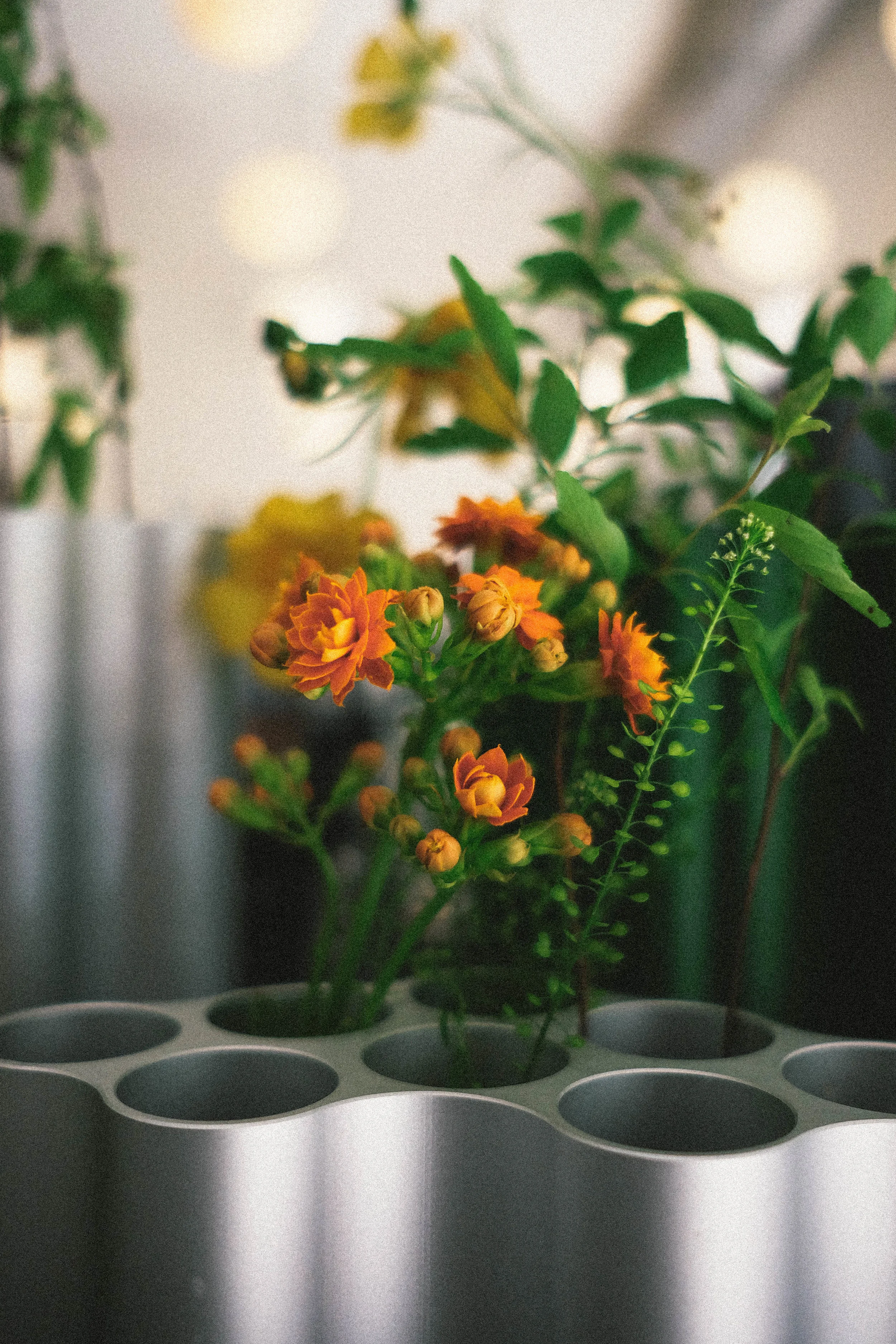 Ronan & Erwan Bouroullec Nuage Vase ( Vitra )