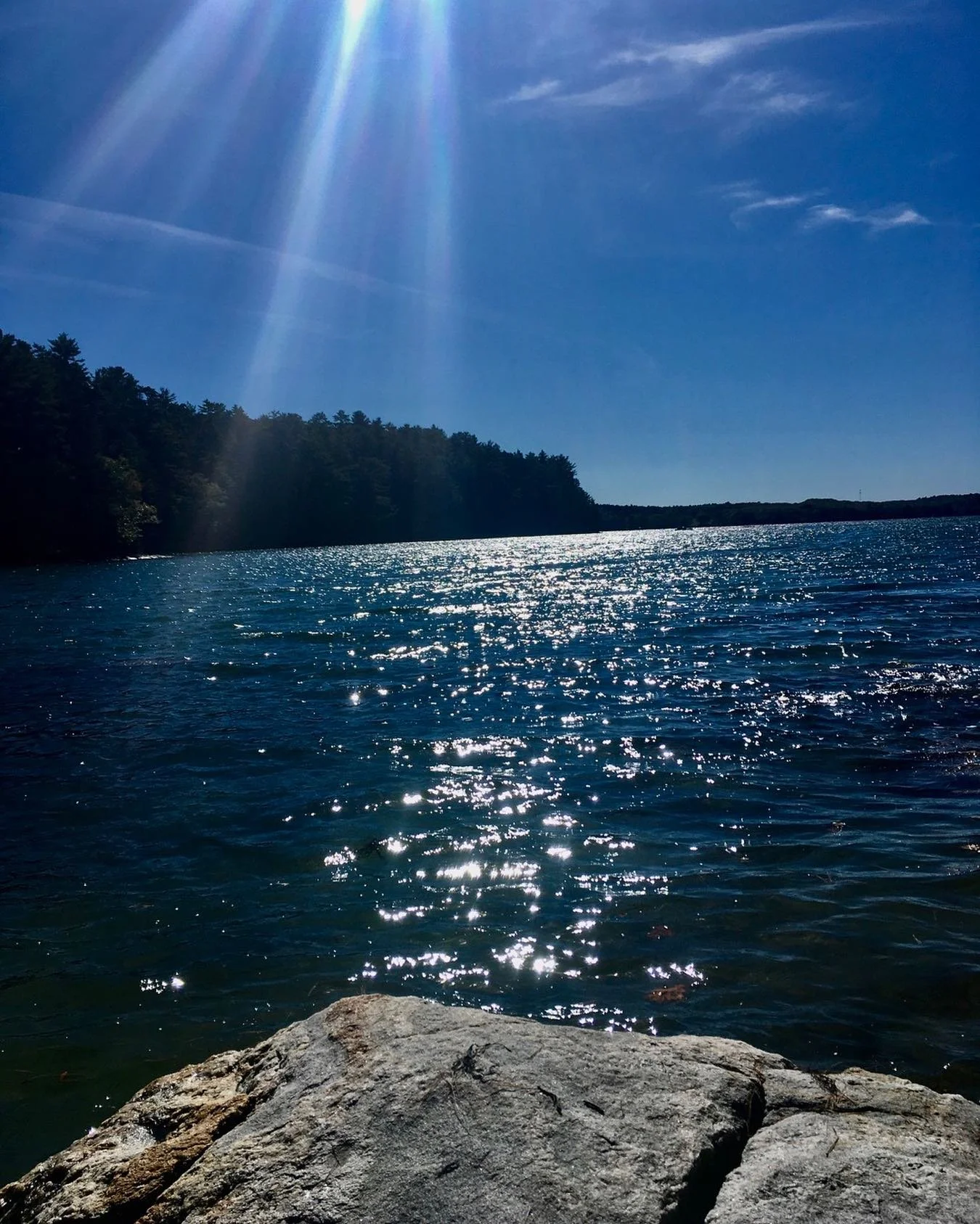 METALSMITHS, JEWELERS, a reminder to dispose of used acid pickle responsibly-for the sake of our precious waters.  I haven’t changed my pickle in 5 years!  As i researched the proper way, i realized why!
 Deactivating it is a process with a few