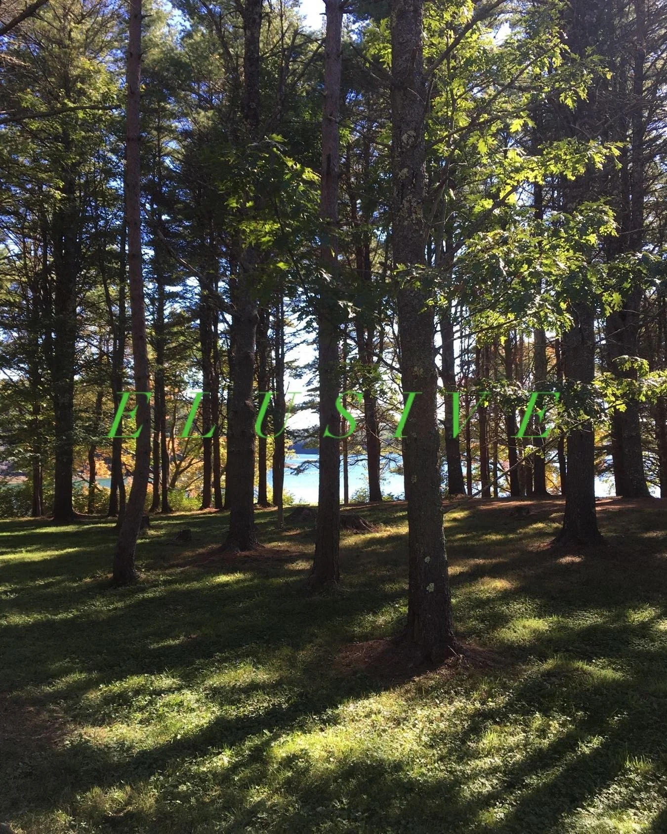 E L U S I V E
looking for me

go to salty water&rsquo;s 
  edge 
  where i pray
humbled by her mystery
  anointed by her majesty
  there i will be
filling my vessel with her light
A L I V E

looking for me

  go to the forest
  where i pray
intoxicat