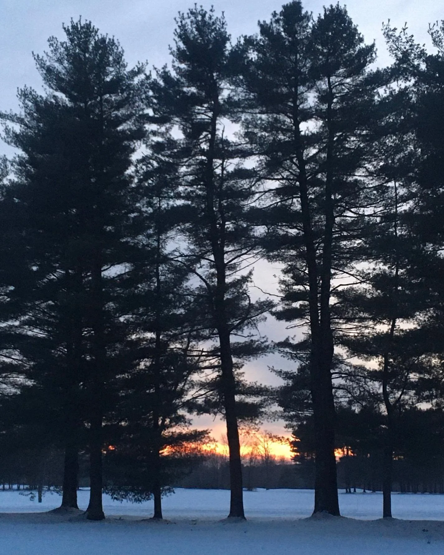 &ldquo;You have got to be in a different state from common.&rdquo; 
  Stephen Harris Buhner, The Secret Teachings of Plants: The intelligence of the Heart  #nature, #wilding, #authentic, #rawandreal, #sovereign, #heartled, #oneness