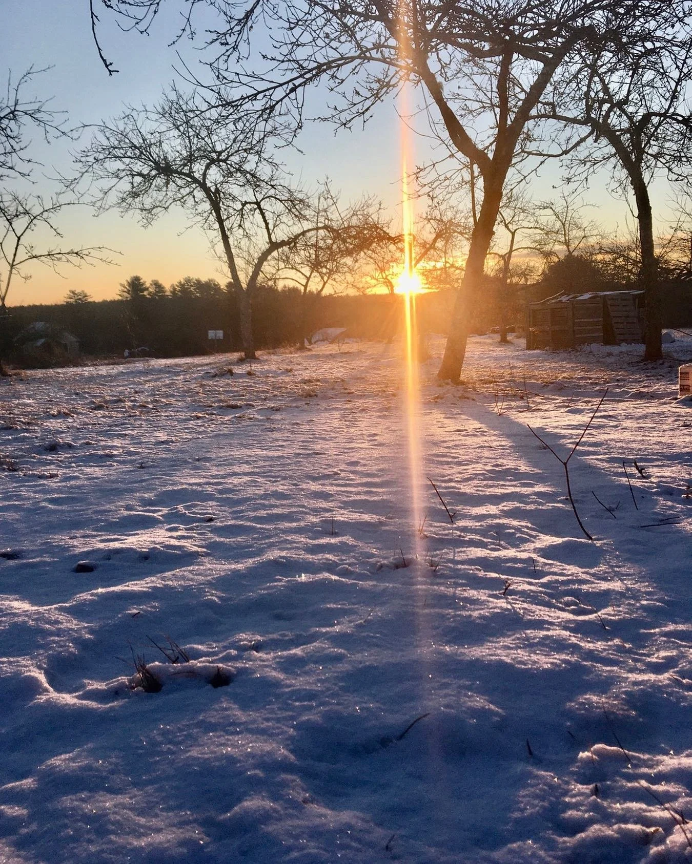 when i am surrounded by nature&mdash;i slow right down.  i hang on the crow&rsquo;s call, the coyote&rsquo;s howl, the owl&rsquo;s song, for nothing is more important&hellip;#calm, #bliss, #nature, #rewilding, #presence, #serenity, #slowly, #oneness,