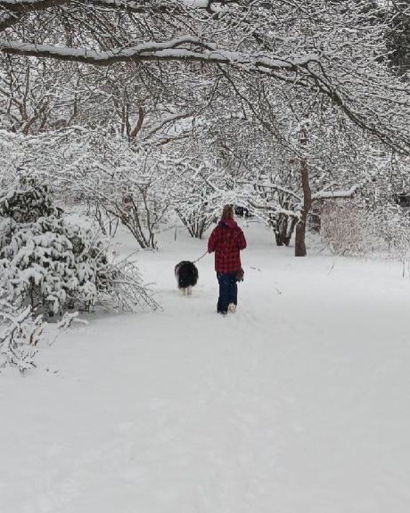 #gratitude, #still, #snow, #winter, #joy