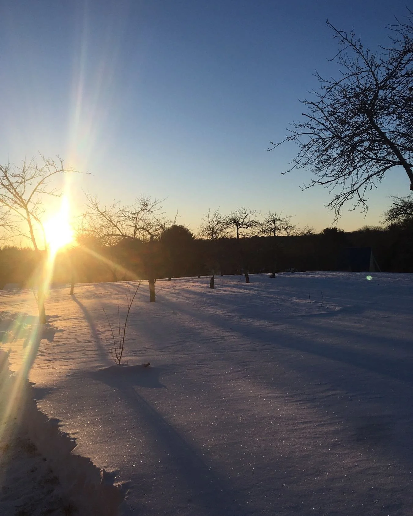 SOLIDARITY⭐️
WE RISE TOGETHER in ONENESS
for justice, equality and freedom&mdash;with our voice, song, drum, dance&mdash;with our hearts.  Question everything.  connect with the wild outside and within&hellip;intimacy with all of life&hellip;#solidar