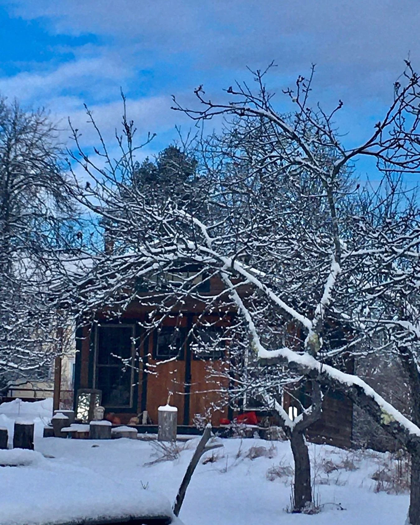 WINTER, DEEP GRATITUDE for the joy this beautiful Winter has offered me with an abundance of snow and cold and that light!! the way Winter should be&hellip;.
#winter, #snow, #joy, #outdoors, #light, #wilding