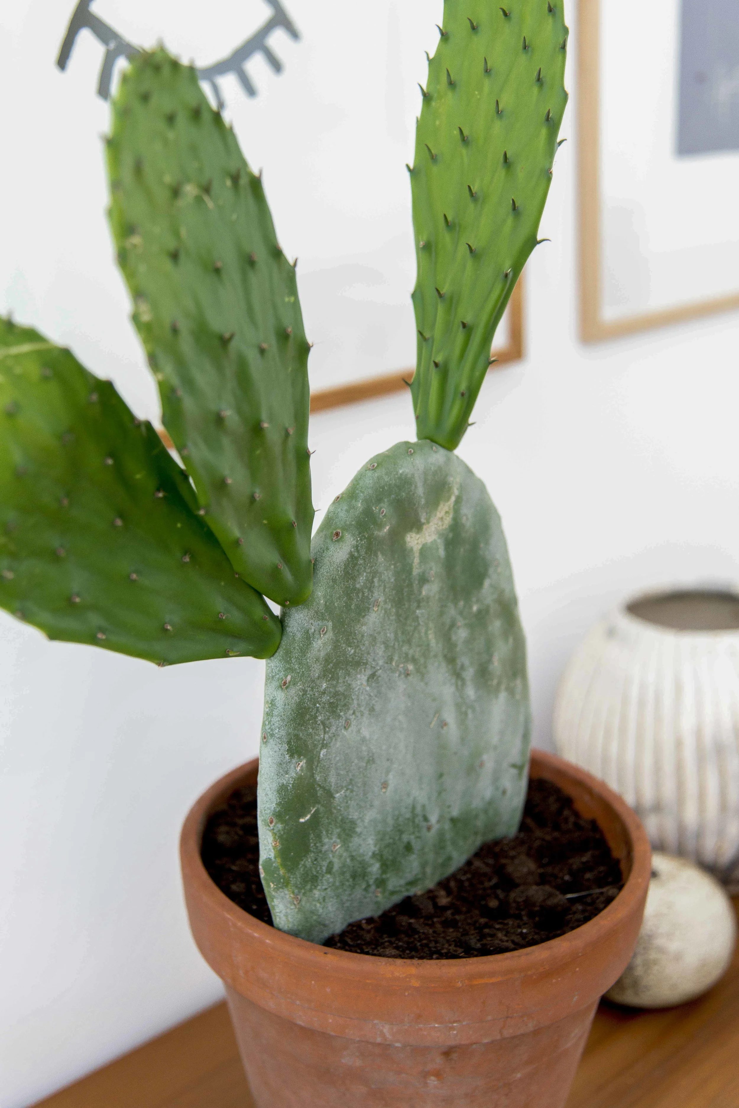 Hos Carina Kjærsgaard, Retroliving.dk