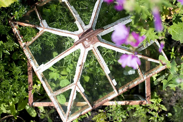 Handelsgartneriet Bernstorff