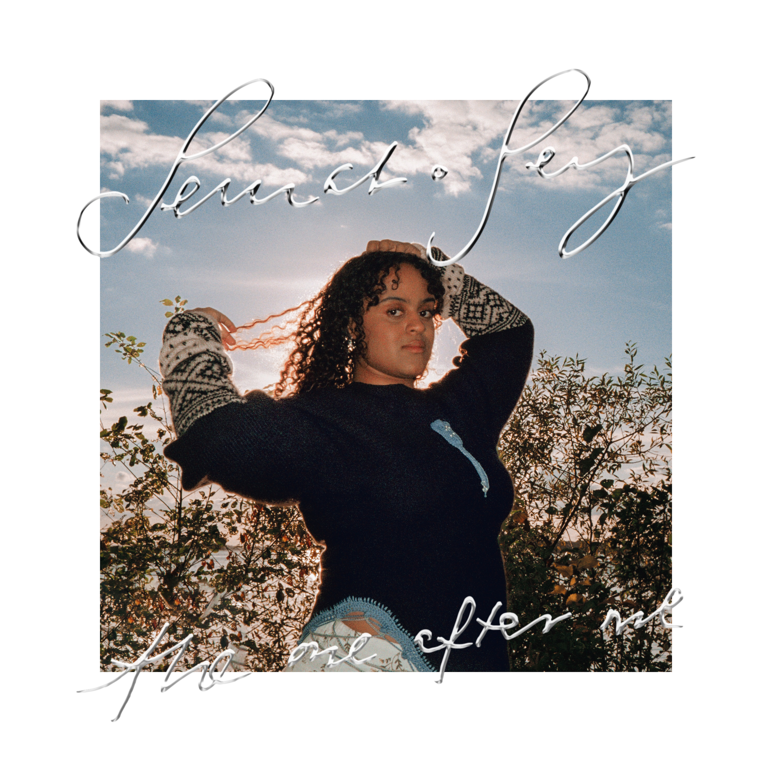 SeinaboSey_TOAM_Artwork_SOME2.png