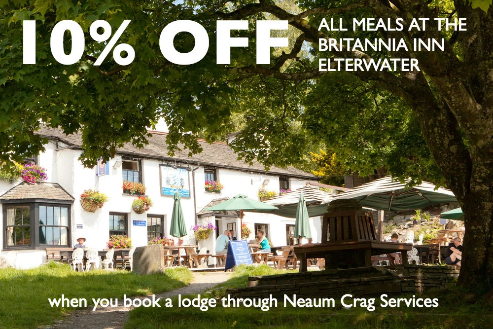 britannia inn meal deal.jpeg