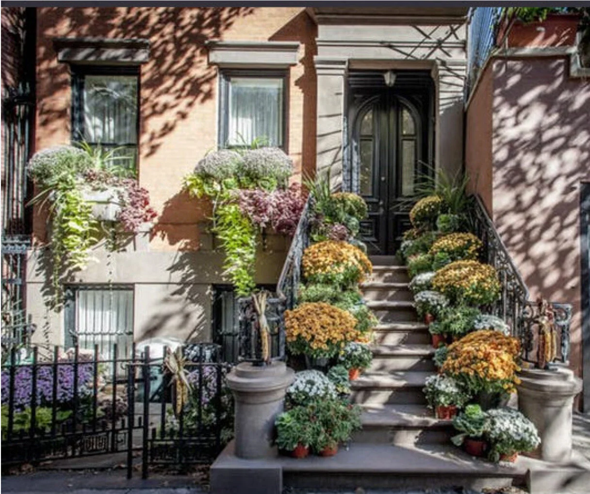 Screen Shot 2021-02-09 at 2.27.04 PM.jpeg