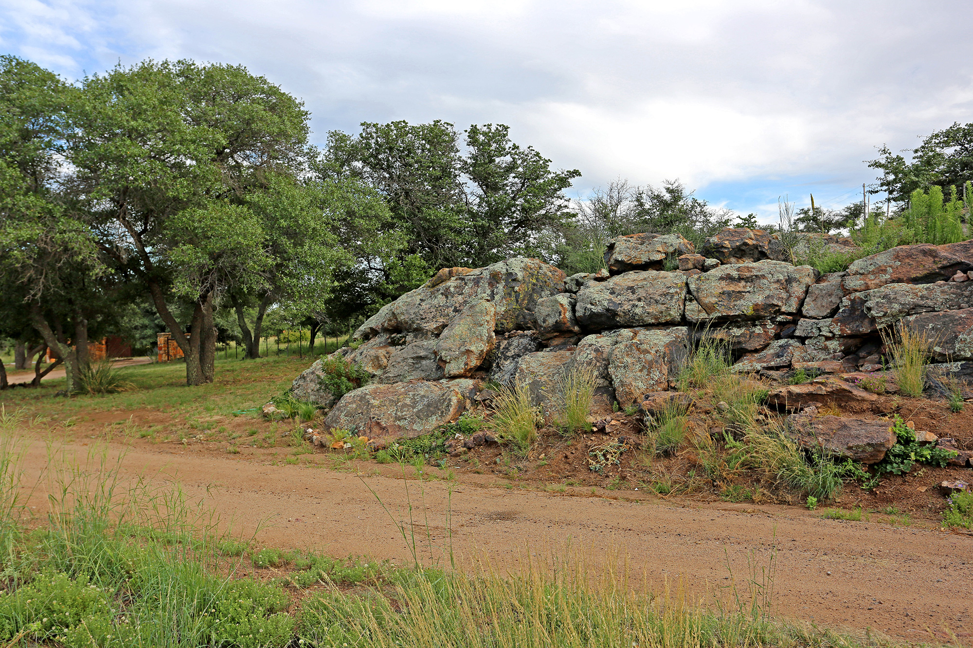 Natural Rock Feature at Entrance