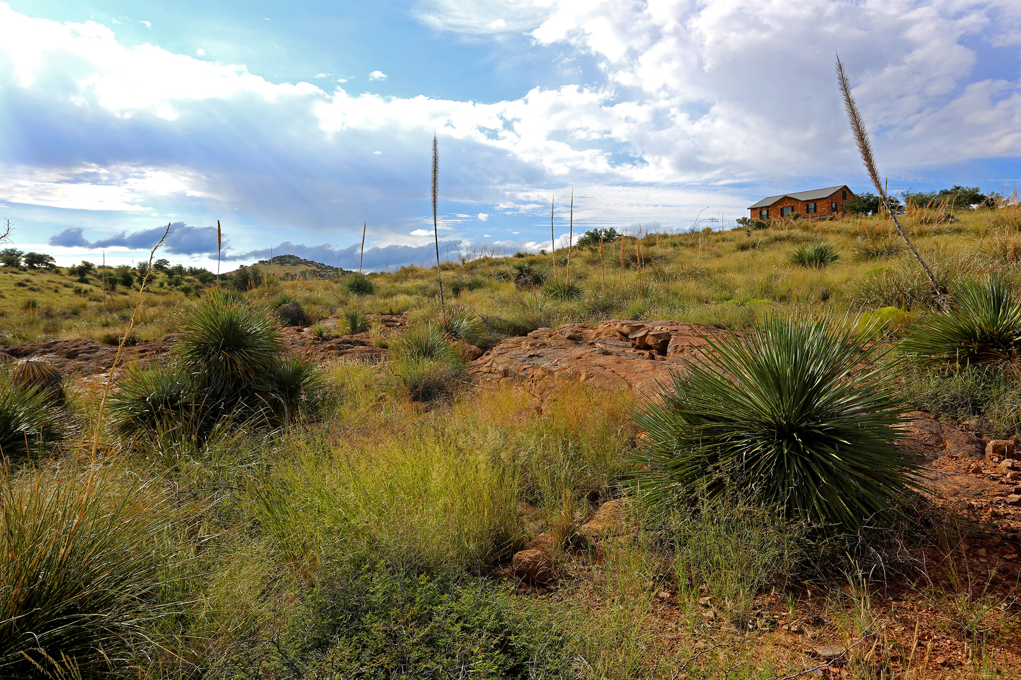 View and Natural Landscaping