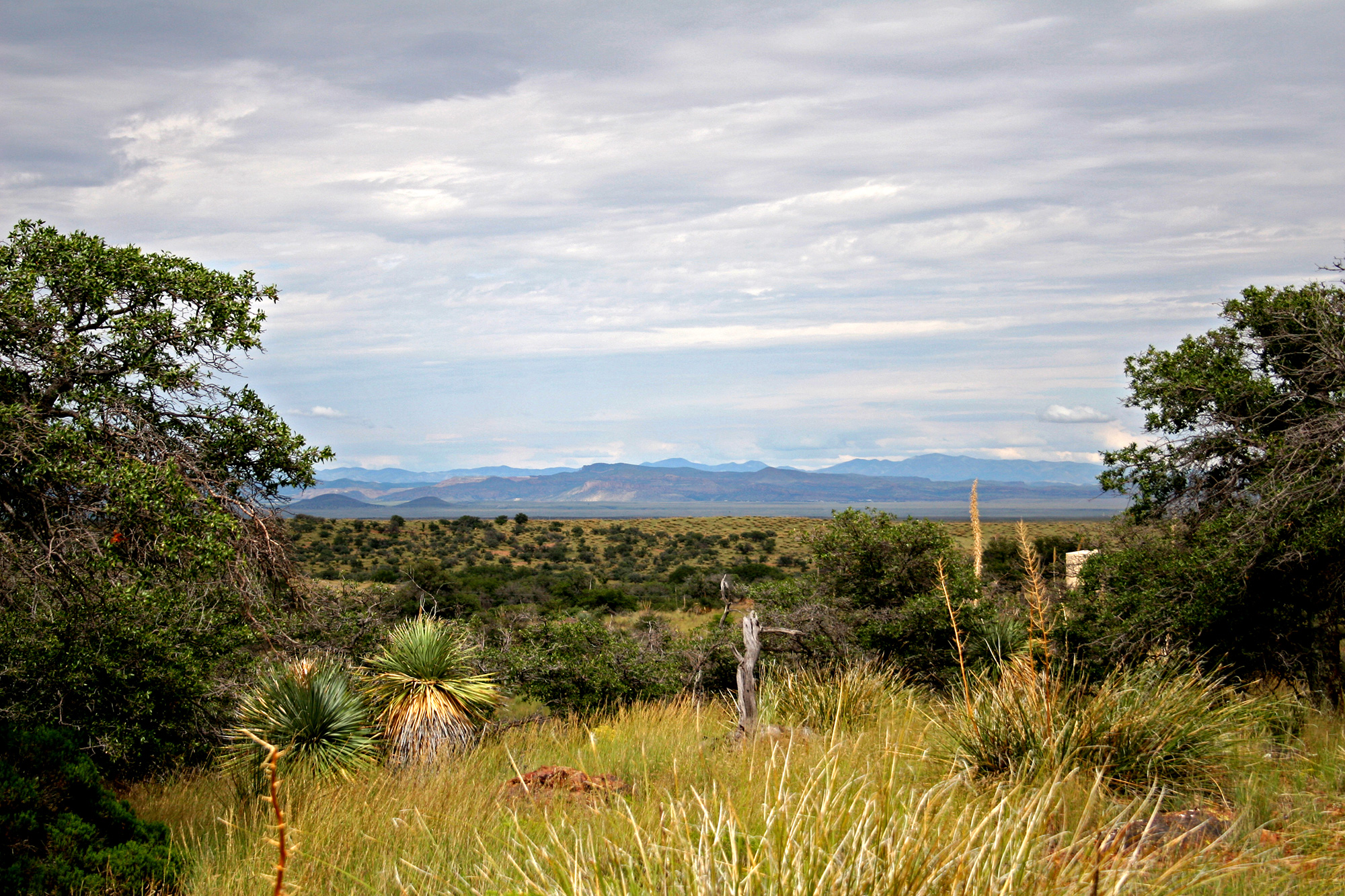 View from Land